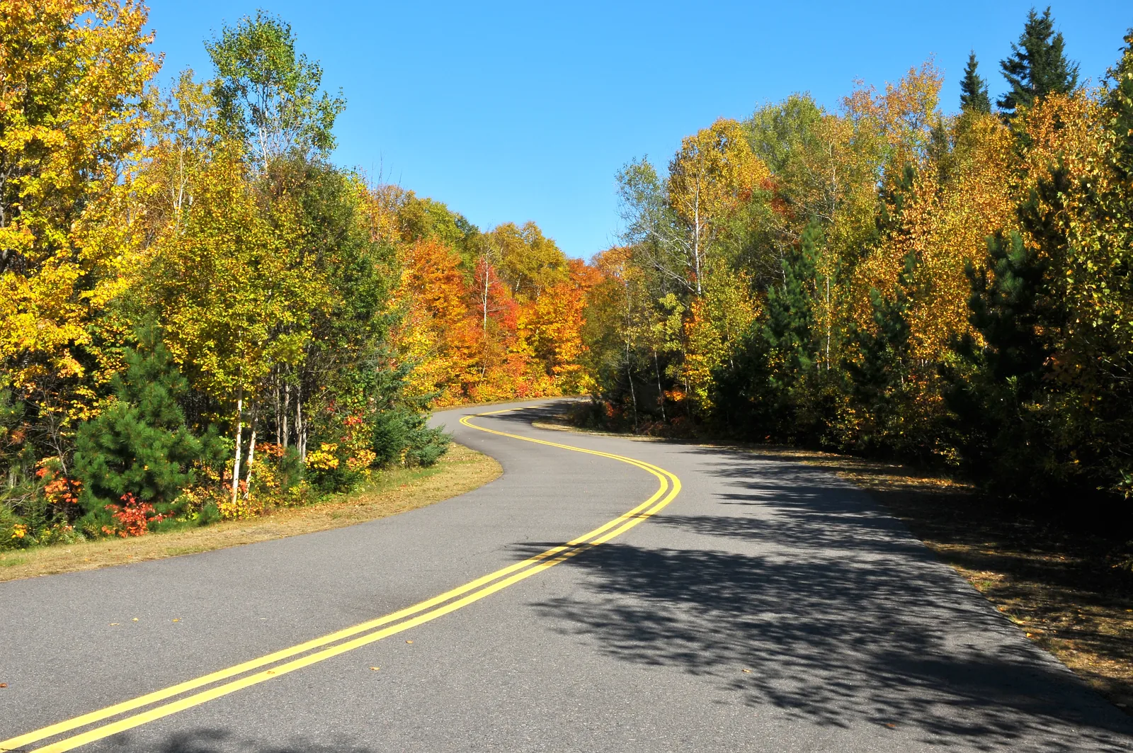 Eine geschwungene Asphaltstraße führt durch herbstlich gelb und orange gefärbten Mischwald unter blauem Himmel