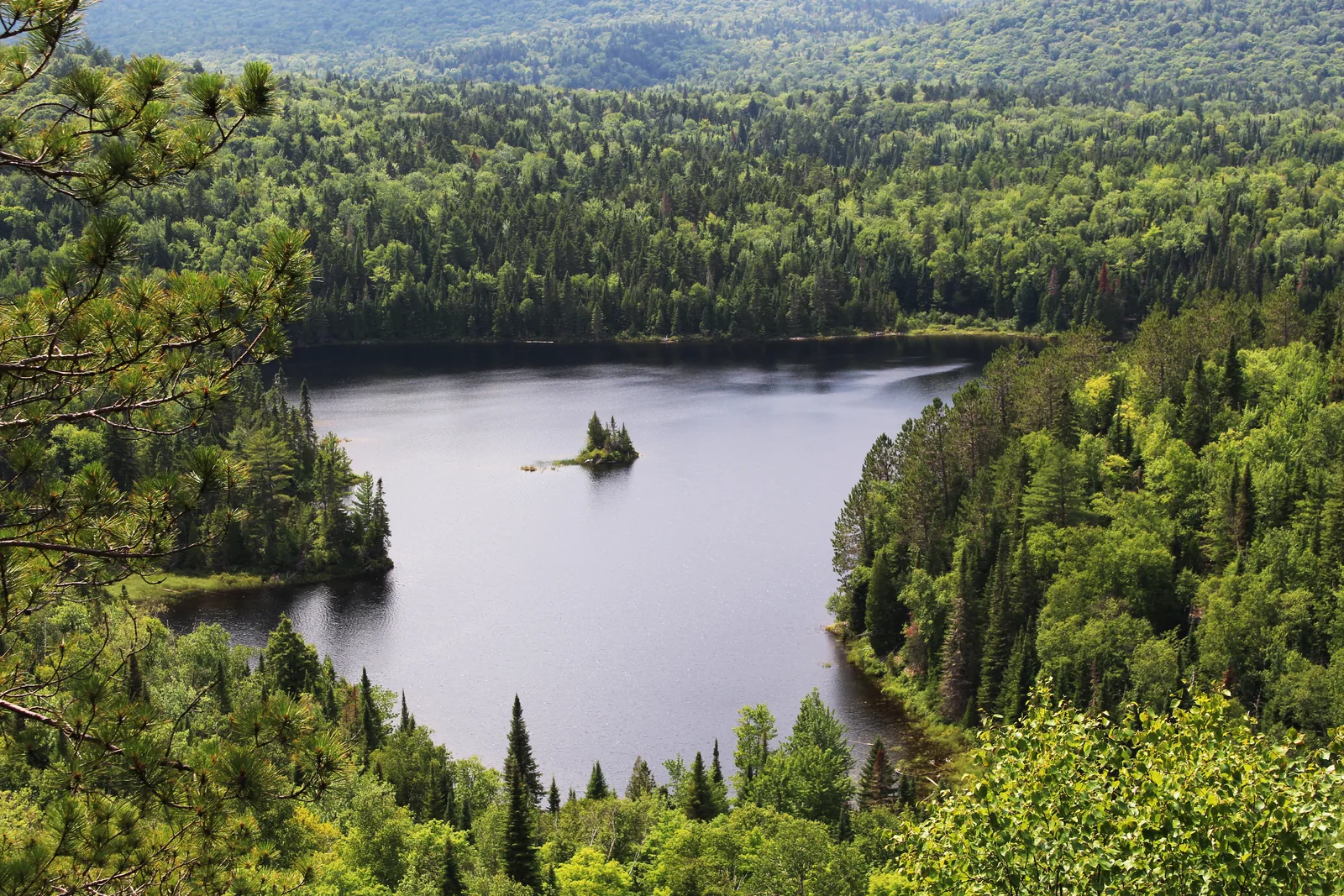 Blick von einer Anhöhe auf einen dunklen Waldsee mit einer kleinen bewaldeten Insel, ringsum dichter Mischwald bis zum Horizont