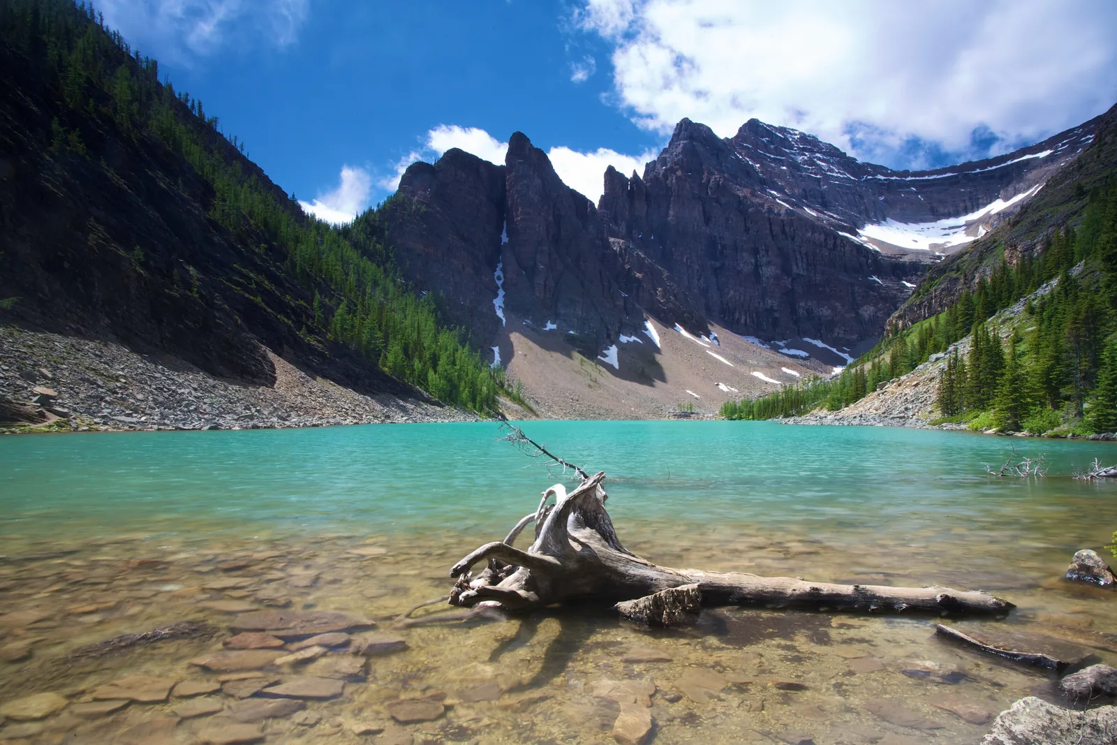 Lake Agnes im Banff-Nationalpark: türkisfarbenes, klares Wasser mit Treibholz am Ufer, dahinter dunkle Felsgipfel mit Schneeresten.