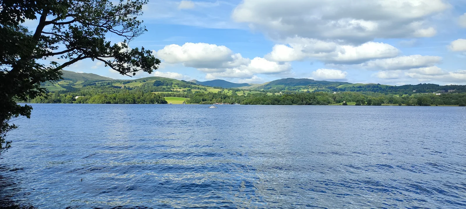 Der See Windermere im Lake-District-Nationalpark unter einem hellen Wolkenhimmel, am Ufer Bäume und dahinter flache Hügel
