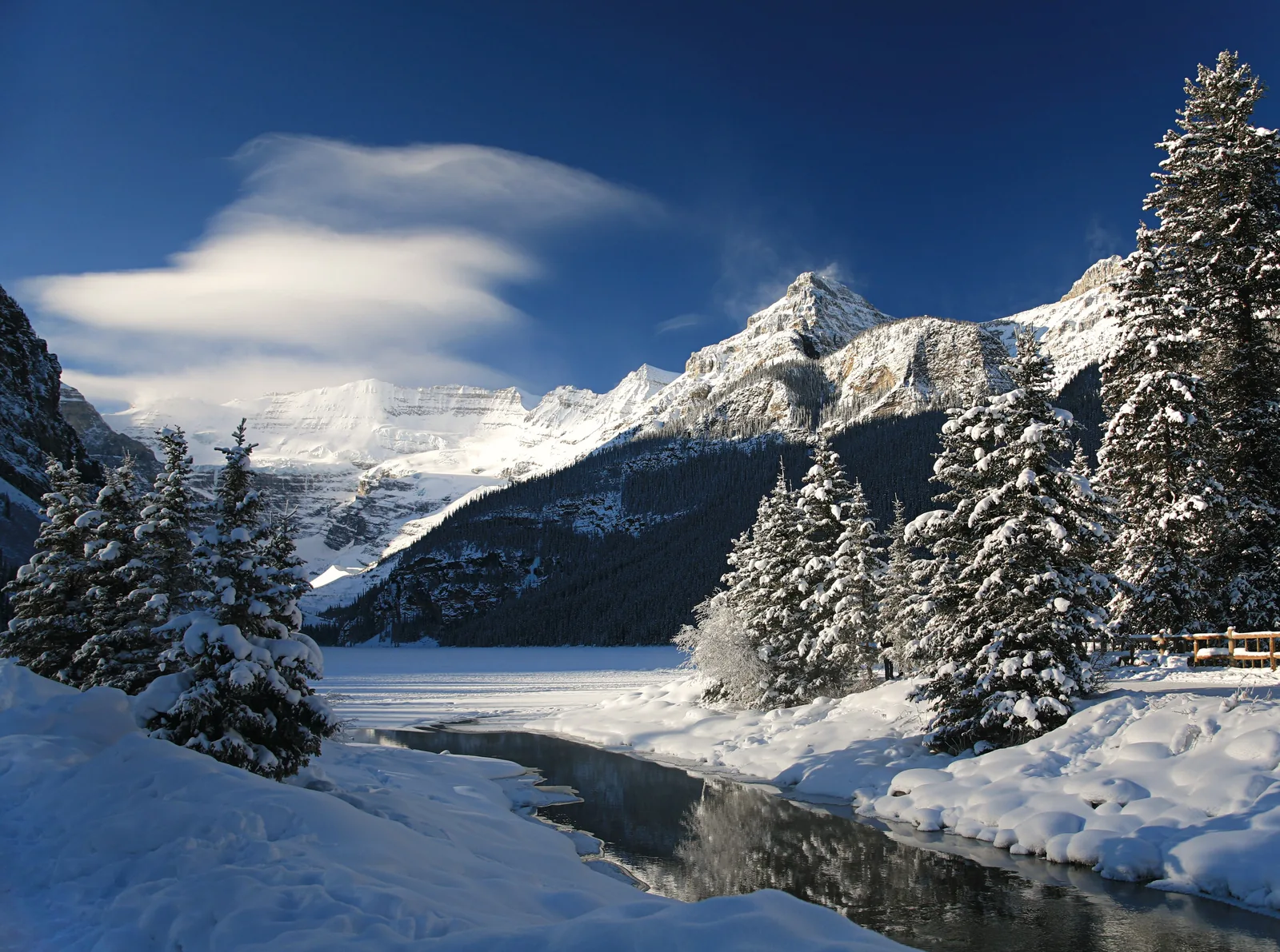Verschneite Tannen am zugefrorenen Lake Louise, darüber eine Wolke am Gipfel