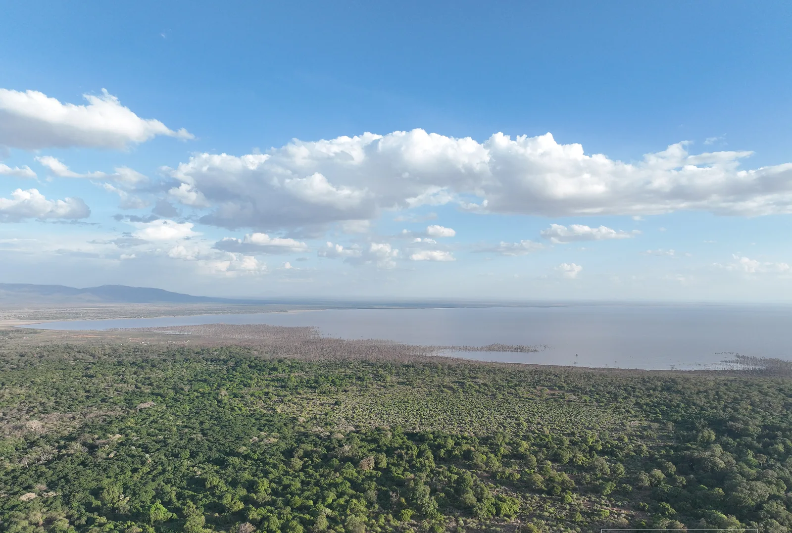 Blick vom Aussichtspunkt an der Straße B144 hinunter auf den dichten Wald des Lake-Manyara-Nationalparks und den hellen See dahinter