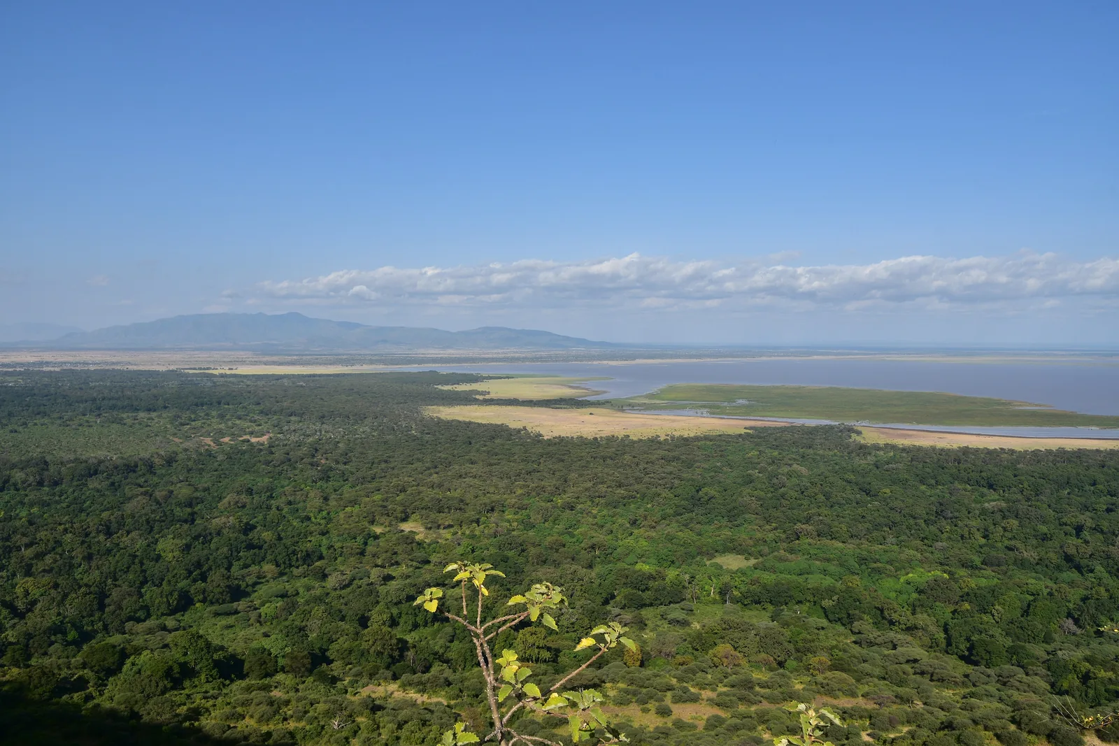 Blick vom Steilhang über den grünen Wald des Lake-Manyara-Nationalparks bis zum See und den Bergen im Süden