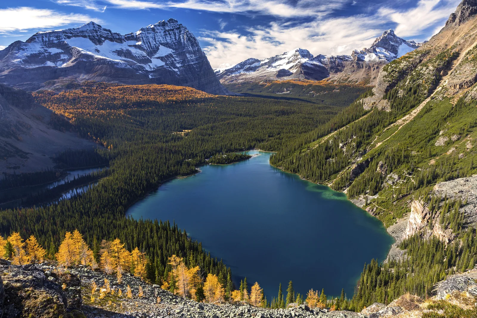 Lake O'Hara im Yoho-Nationalpark von oben im Herbst: goldene Lärchen im Vordergrund, dunkler Wald und Gipfel rundum.