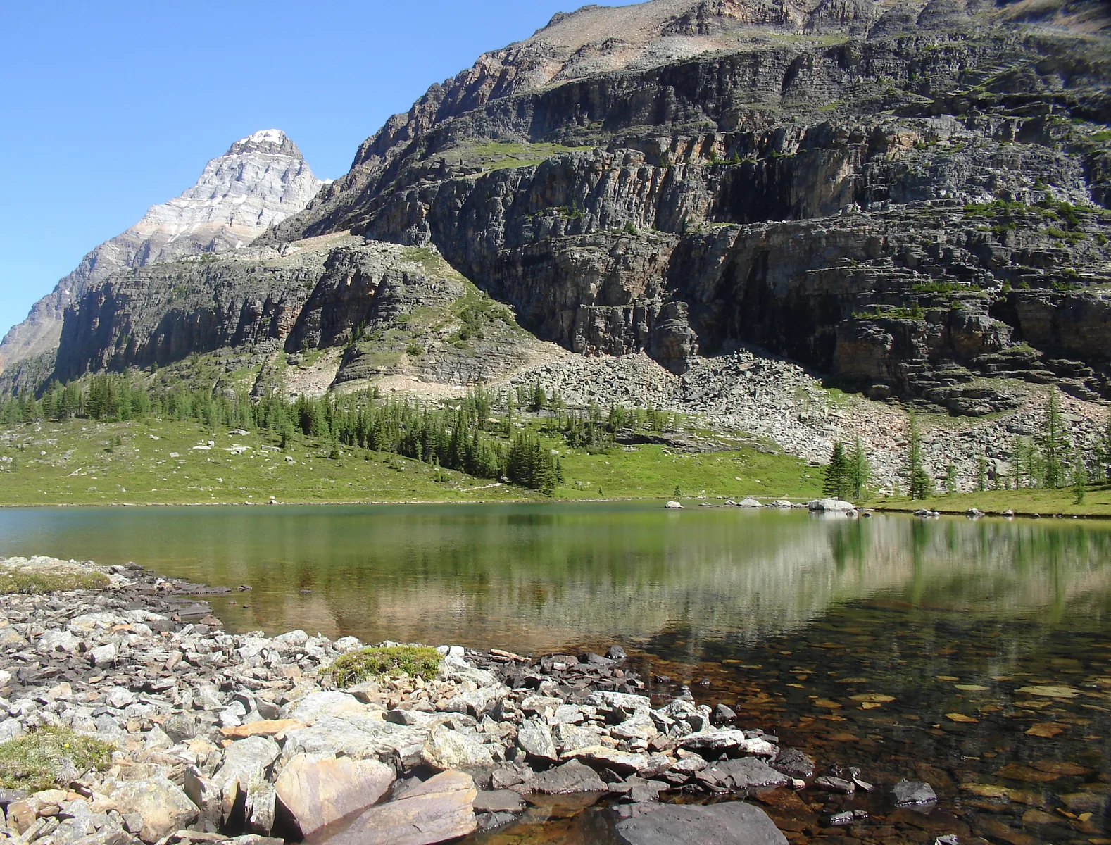 Bergsee auf dem Opabin Plateau über dem Lake O'Hara im Yoho-Nationalpark, dahinter Felswände und ein spitzer Gipfel.
