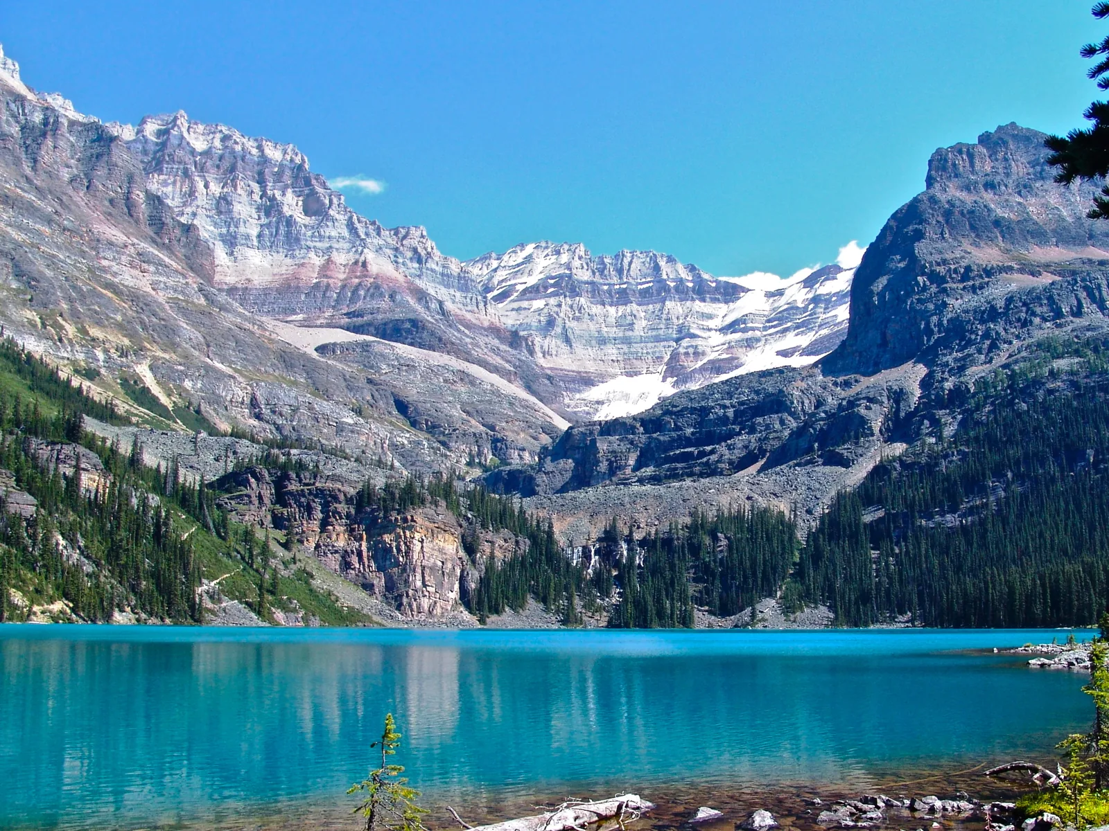 Der türkisfarbene Lake O'Hara vom Ostufer, dahinter vergletscherte Gipfel im Yoho-Nationalpark.