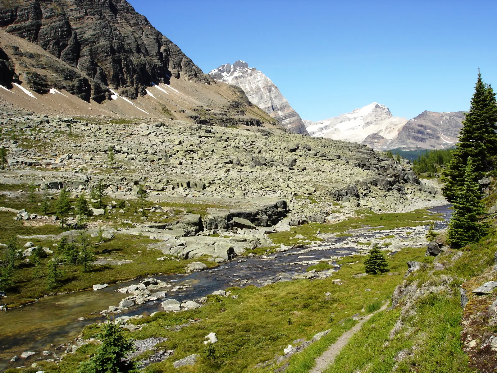 Am Weg zum Lake Oesa oberhalb des Lake O'Hara: Bach, Felsplatten und Wiesen im Hochtal des Yoho-Nationalparks.