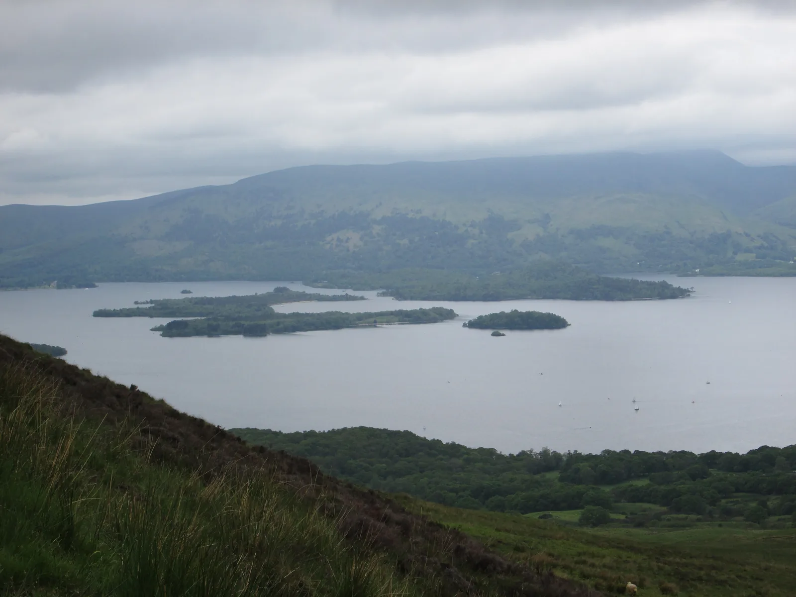 Blick vom Conic Hill im Loch-Lomond-and-The-Trossachs-Nationalpark über Loch Lomond und seine bewaldeten Inseln