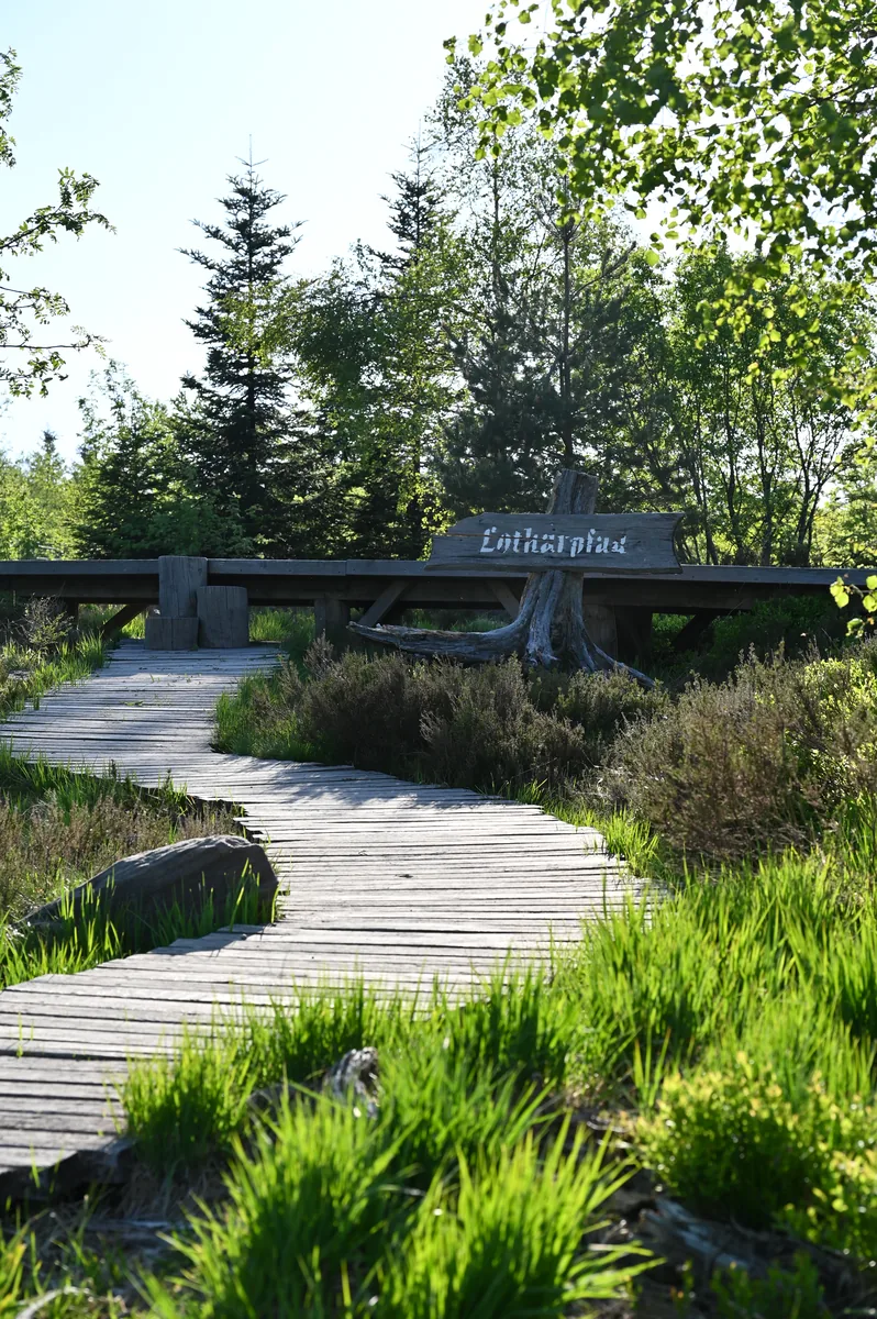 Holzsteg am Schild mit dem Schriftzug Lotharpfad