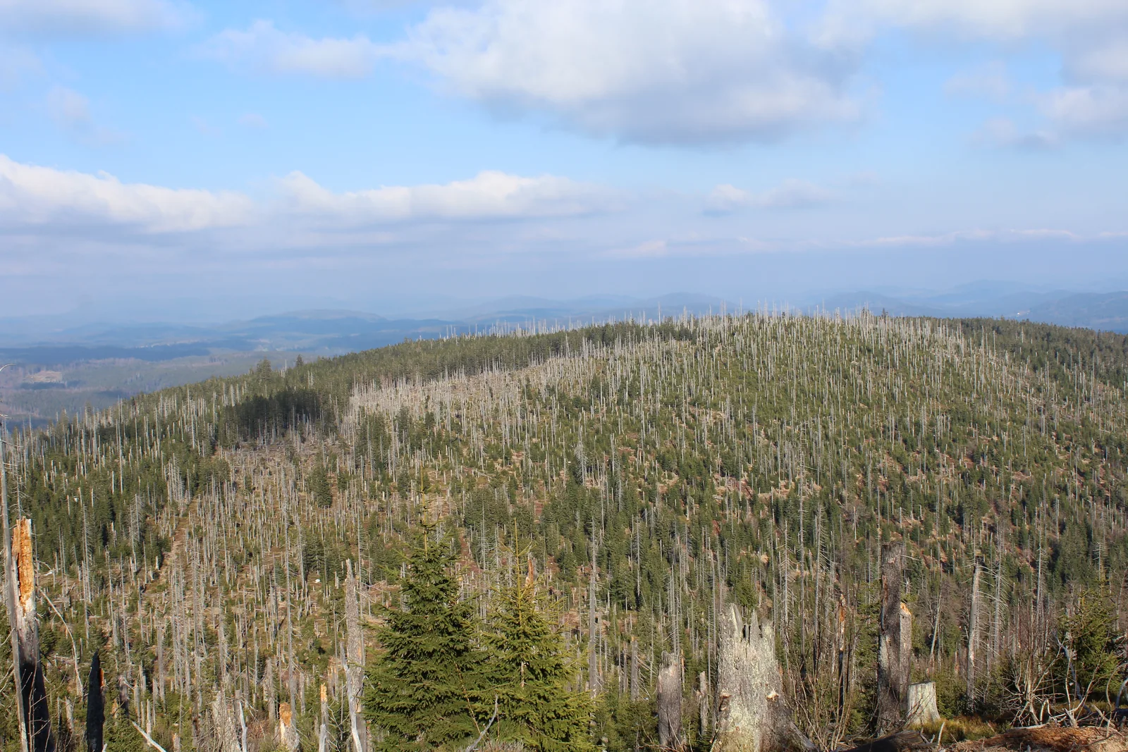 Blick vom Gipfel des Lusen nach Osten