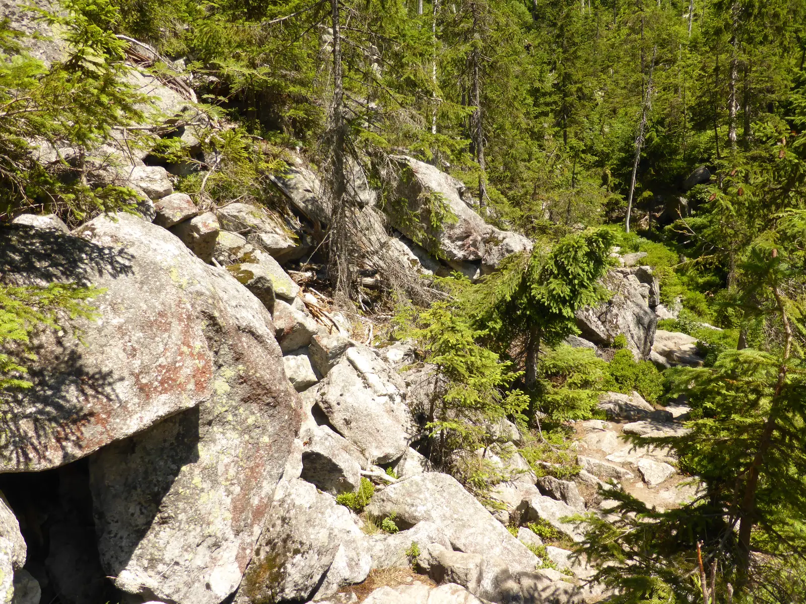 Das Teufelsloch, ein Felsblockmeer aus Granit im Anstieg zum Lusen