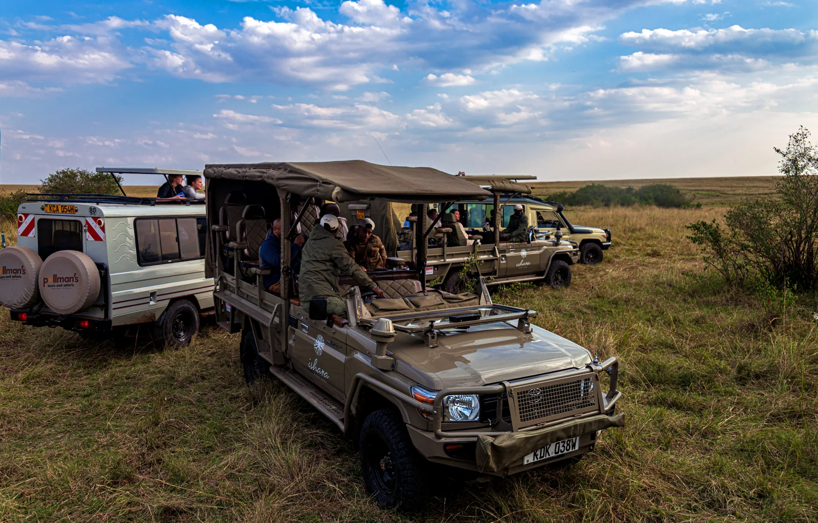 Mehrere offene Safarifahrzeuge mit Sonnendach stehen dicht beieinander im Gras, die Insassen blicken auf ein Ziel außerhalb des Bildes