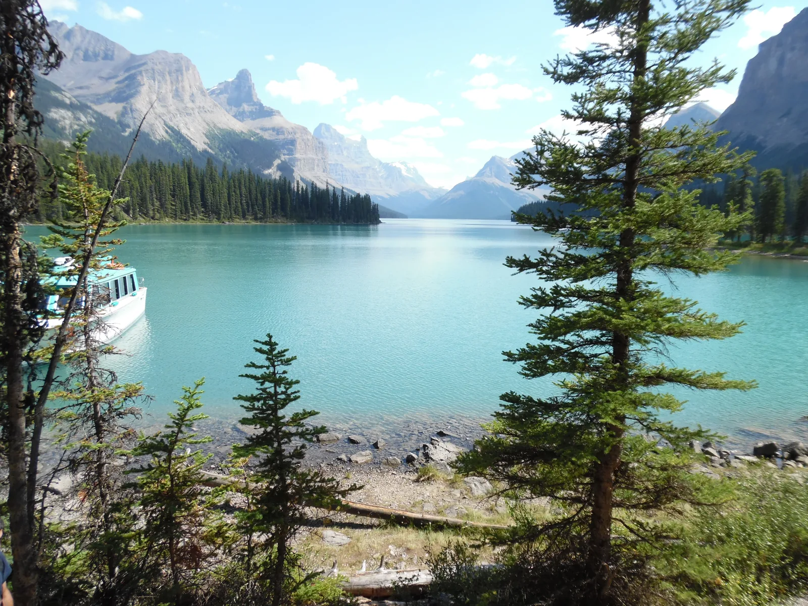 Ausflugsboot am Ufer des türkisfarbenen Maligne Lake zwischen Fichten
