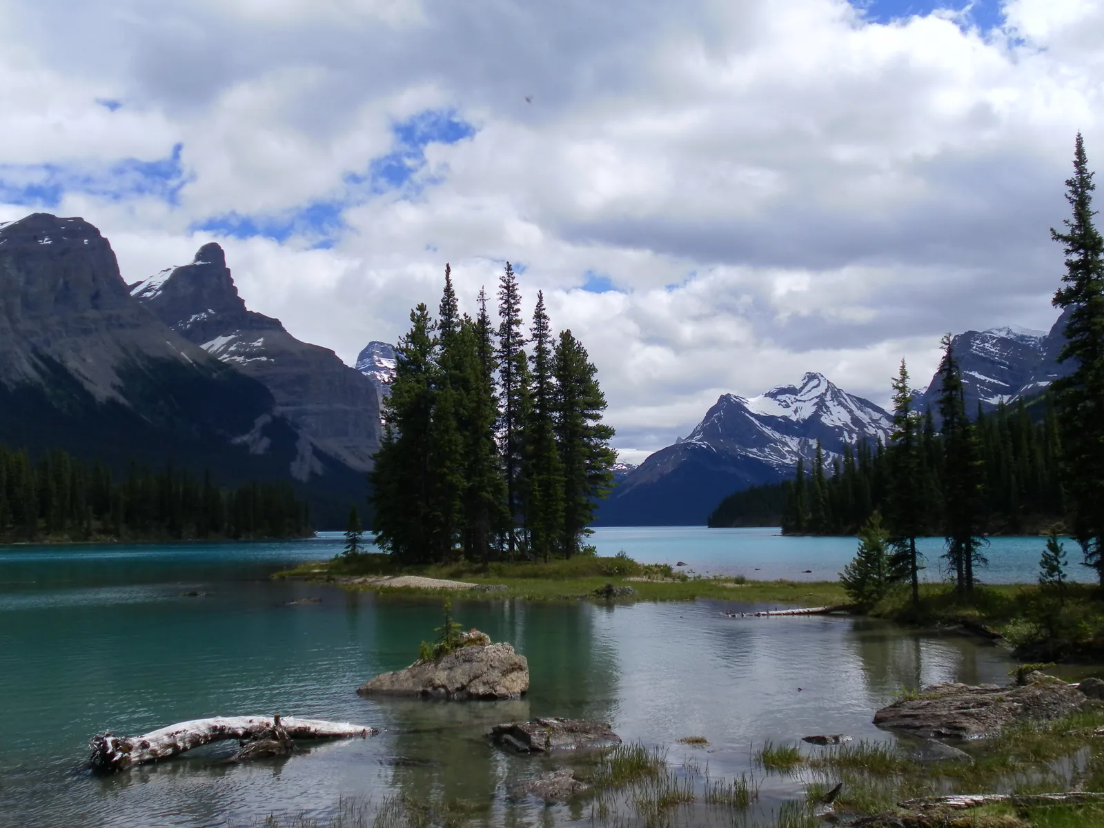 Spirit Island mit Fichten, im Vordergrund Steine im flachen Wasser