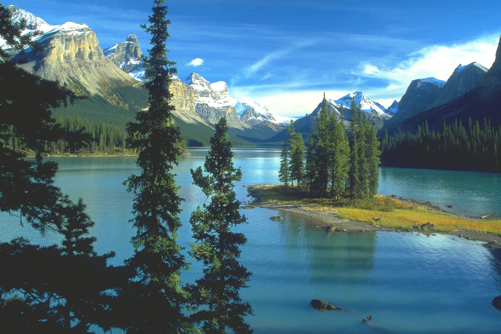 Spirit Island mit ihren Fichten im türkisfarbenen Maligne Lake vor den Bergen des Jasper-Nationalparks