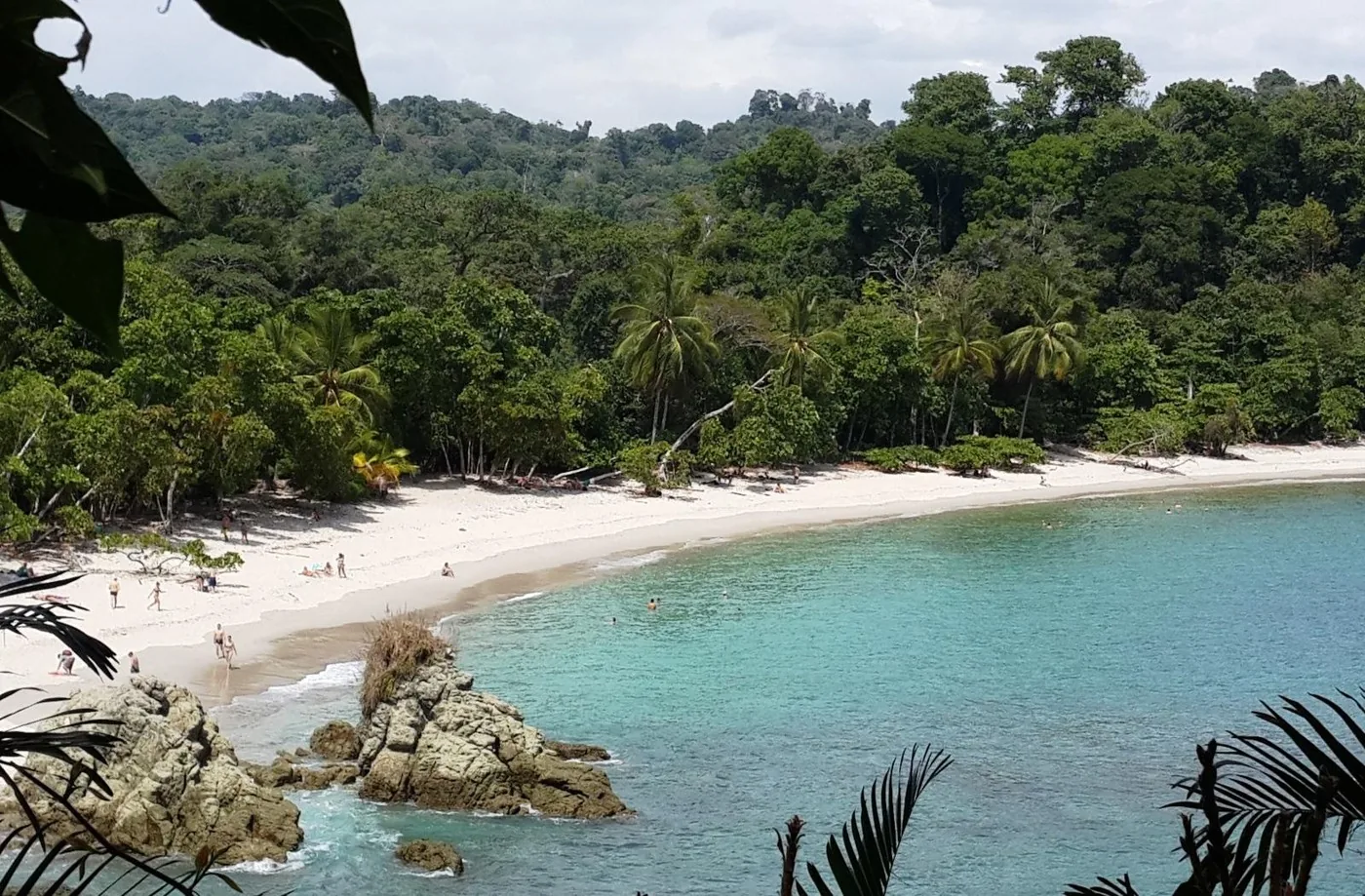 Angebotsfoto: Ab San José: Manuel-Antonio-Nationalpark als Tagestour mit Eintritt