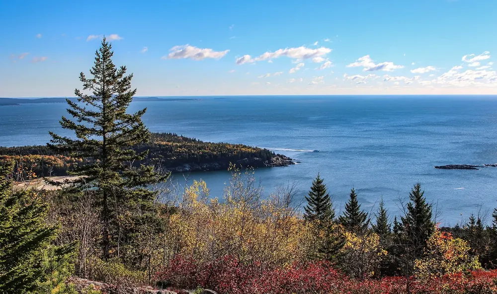 Blick vom Gorham Mountain über herbstlich gefärbte Sträucher und Fichten auf eine bewaldete Landzunge im Meer