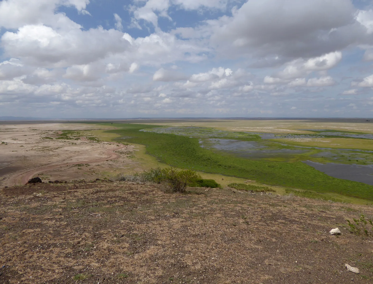 Blick von Observation Hill im Amboseli-Nationalpark über grüne Sumpfflächen und Wasserläufe in einer weiten, hellen Ebene