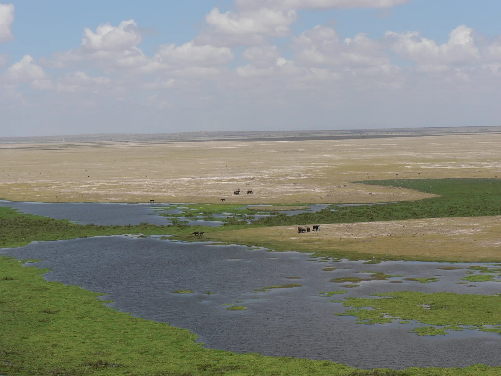 Lake Leakey im Amboseli-Nationalpark: Wasserflächen und Sumpfgras in einer weiten, hellen Ebene unter Wolken