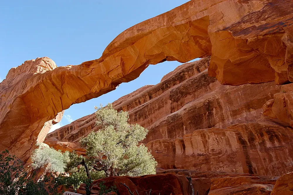 Wall Arch im Jahr 2003, vor dem Einsturz 2008: breiter Sandsteinbogen über einem Baum am Devils Garden Trail