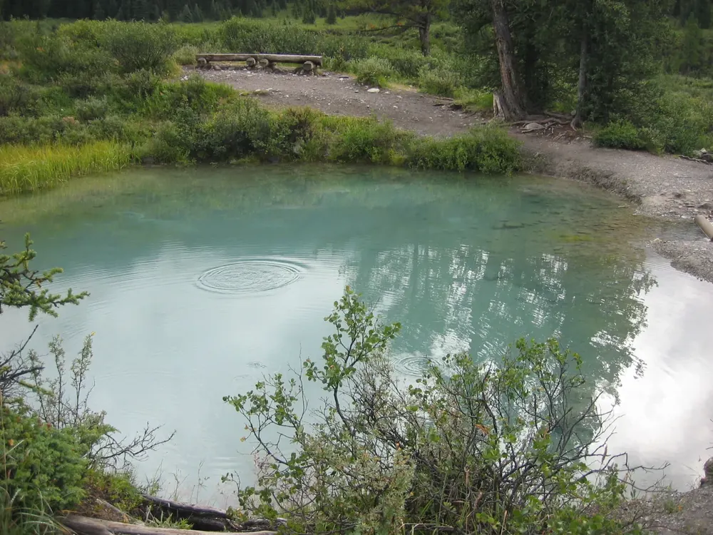 Einer der Ink-Pots-Quelltöpfe: klares, grünlich schimmerndes Wasser in einer flachen Senke zwischen Sträuchern