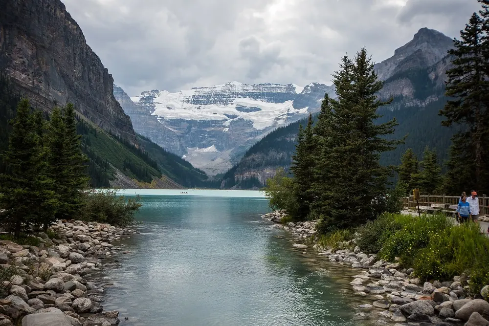 Blick vom Ufer über den türkisfarbenen Lake Louise zum vergletscherten Mount Victoria, gesäumt von Fichten