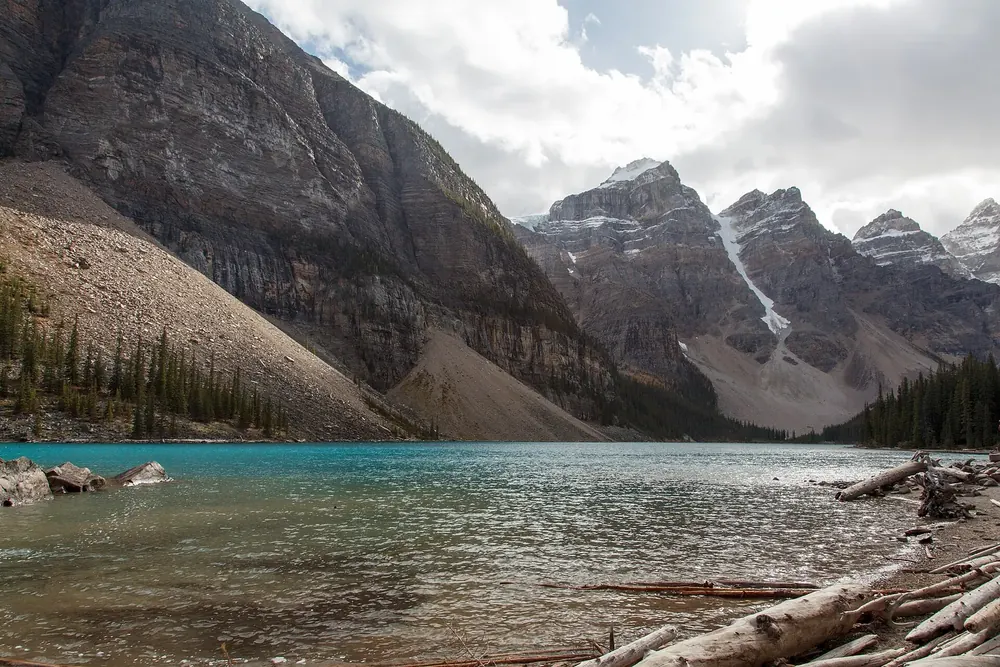 Moraine Lake nahe der Shuttle-Haltestelle: türkisfarbenes Wasser mit Treibholz vor Geröllhängen und schroffen Gipfeln