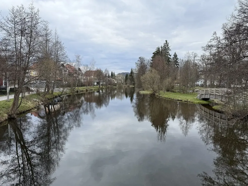 Aufgestauter Großer Regen im Stadtpark von Zwiesel, am Ufer Bäume und Häuser, im Wasser Spiegelungen