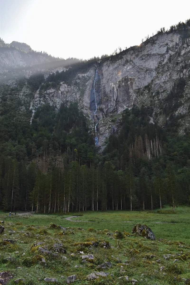 Röthbachfall am Obersee: dünner Wasserfall über einer hohen Felswand, davor Nadelwald und Almwiese