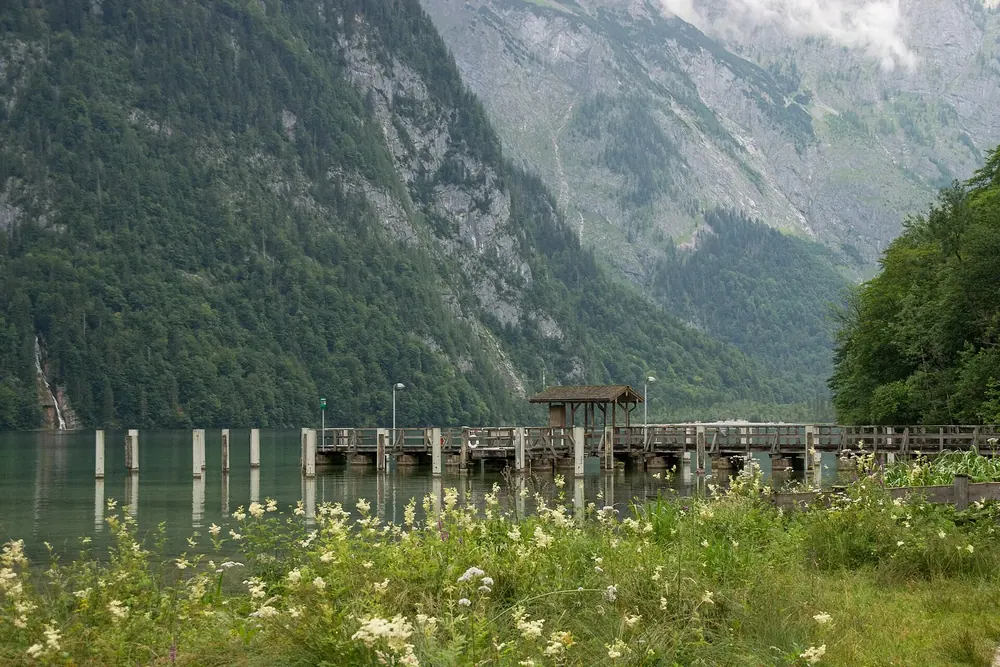 Bootsanleger Salet am Südende des Königssees, davor eine Blumenwiese, dahinter steile bewaldete Felswände