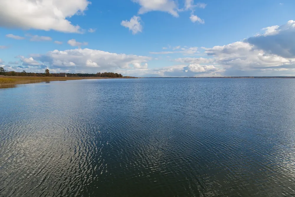 Weite Wasserfläche des Bodstedter Bodden bei Born a. Darß, am Horizont flaches Schilfufer unter Quellwolken