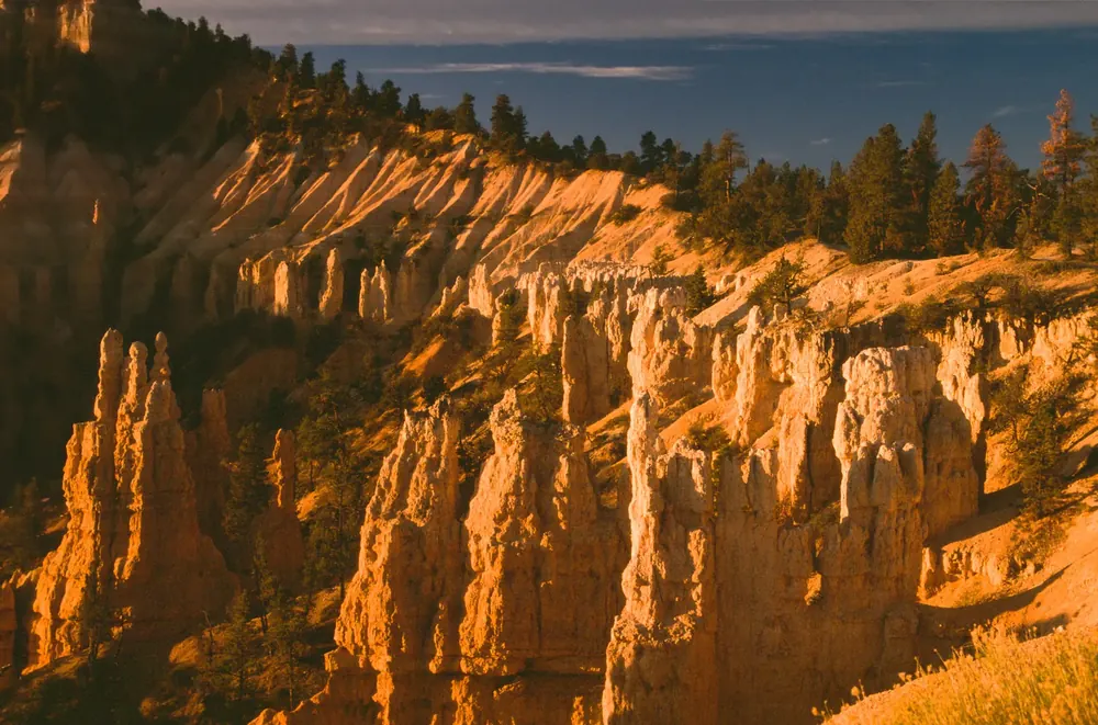 Fairyland Point bei Sonnenaufgang: orange leuchtende Hoodoos und Felsrippen unterhalb eines bewaldeten Plateaurands