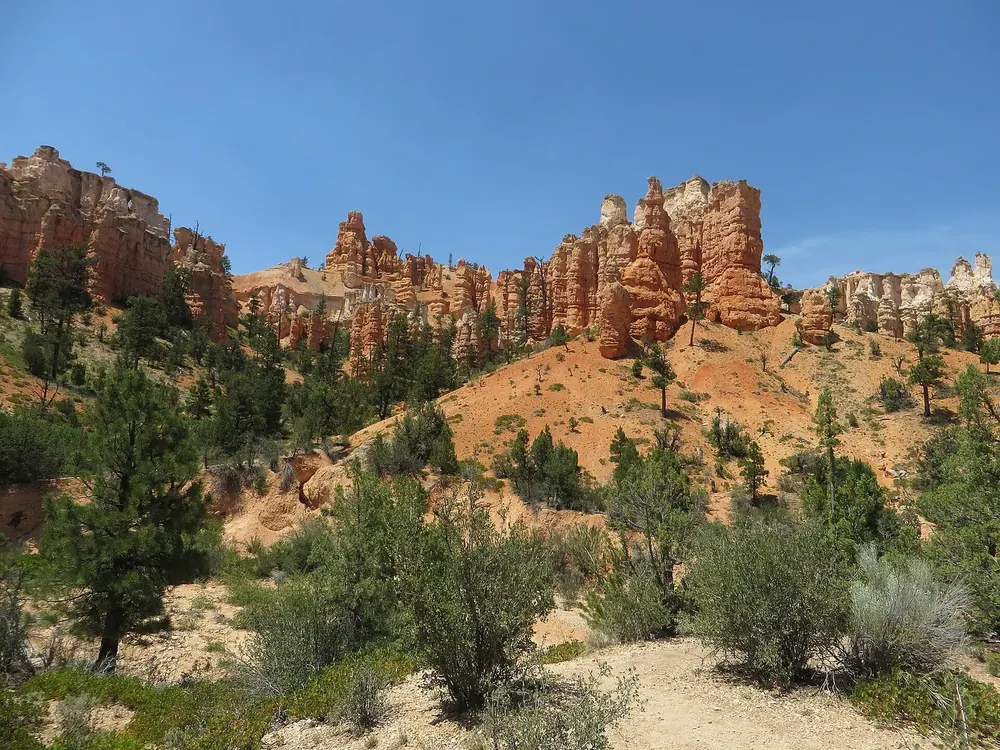 Am Mossy Cave Trail: orangefarbene Hoodoos und Felswände über einem Hang mit Kiefern und Wacholder