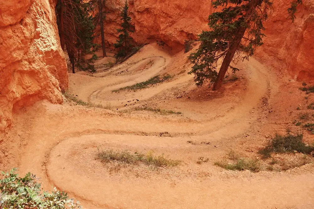 Peekaboo Loop Trail: Serpentinen des Wanderwegs durch leuchtend orangefarbenen Fels, gesäumt von einzelnen Kiefern