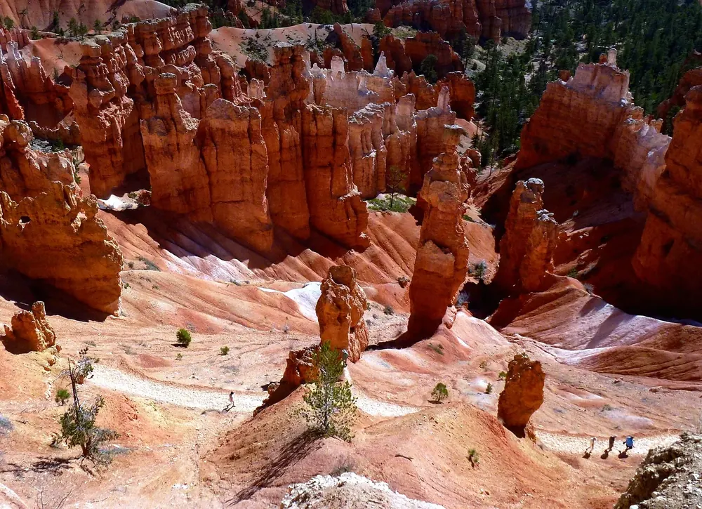 Blick vom Sunset Point hinab auf rote Hoodoos, Serpentinen des Navajo Loop und helle Erosionshänge