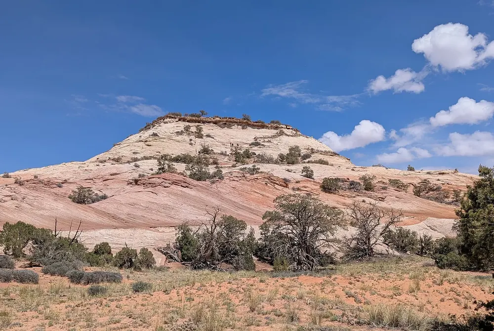 Aztec Butte: heller, abgerundeter Sandsteinhügel mit Wacholder, davor eine sandige Grasfläche unter blauem Himmel