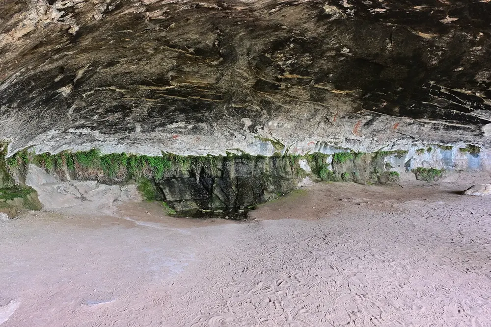 Cave Spring: tiefer Felsüberhang im Sandstein, an dessen Rand Wasser austritt und grüner Bewuchs wächst