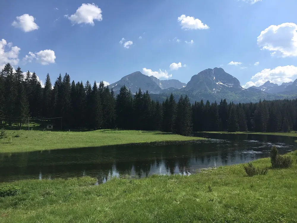Die Otoka fließt vom Schwarzen See durch eine sumpfige Wiese, dahinter Nadelwald und die Gipfel des Durmitor