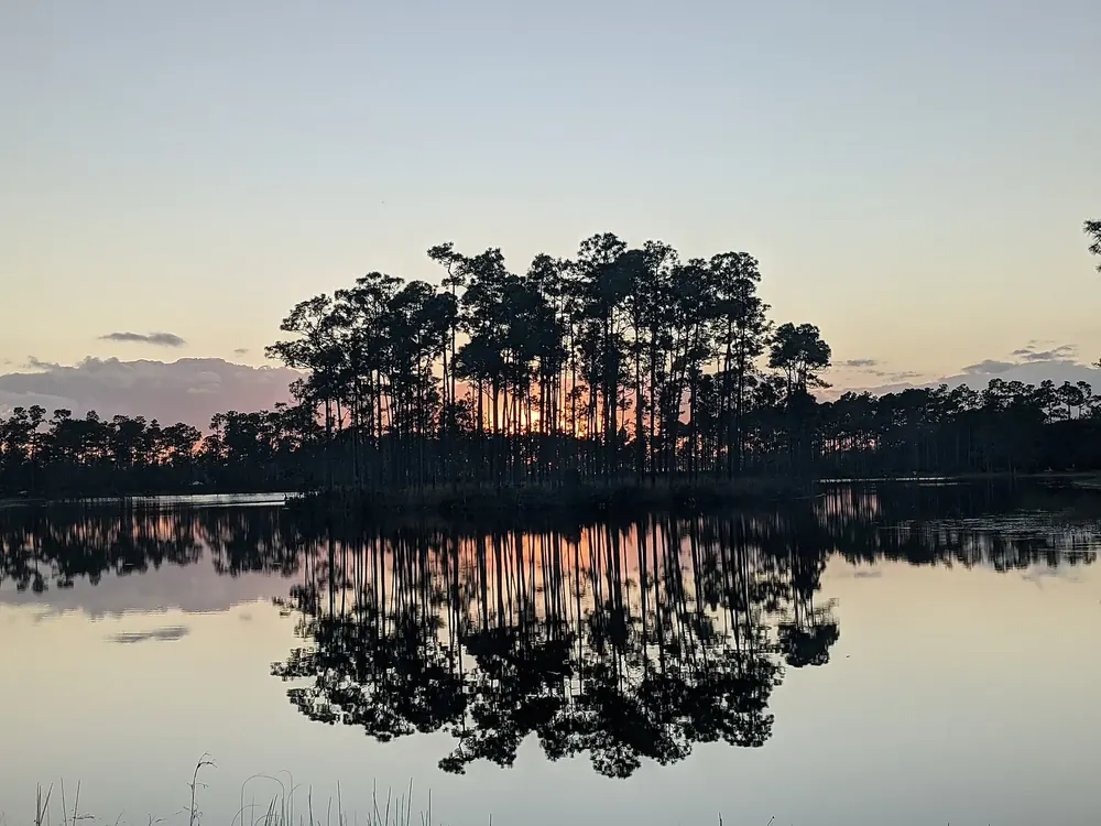 Insel mit hohen Kiefern im See am Long Pine Key Campground, die sich im stillen Wasser bei Sonnenuntergang spiegelt