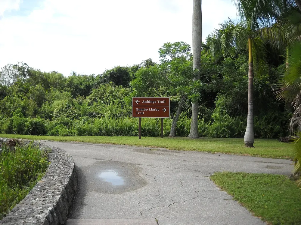 Wegkreuzung an der Royal Palm: Wegweiser zum Anhinga und Gumbo Limbo Trail zwischen Palmen und dichtem Grün