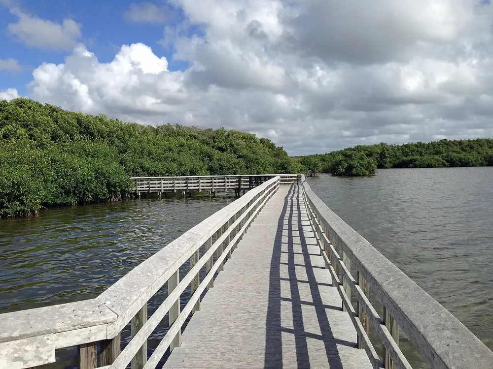 Holzsteg des West Lake Trail über das Wasser des West Lake, gesäumt von dichtem Mangrovenwald unter Wolken