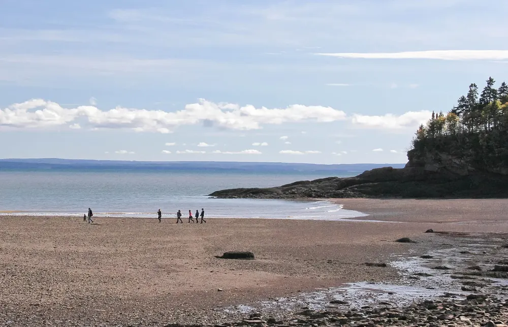 Herring Cove bei Ebbe: weiter Sandstrand mit Spaziergängern, rechts eine bewaldete Felsspitze am Meer