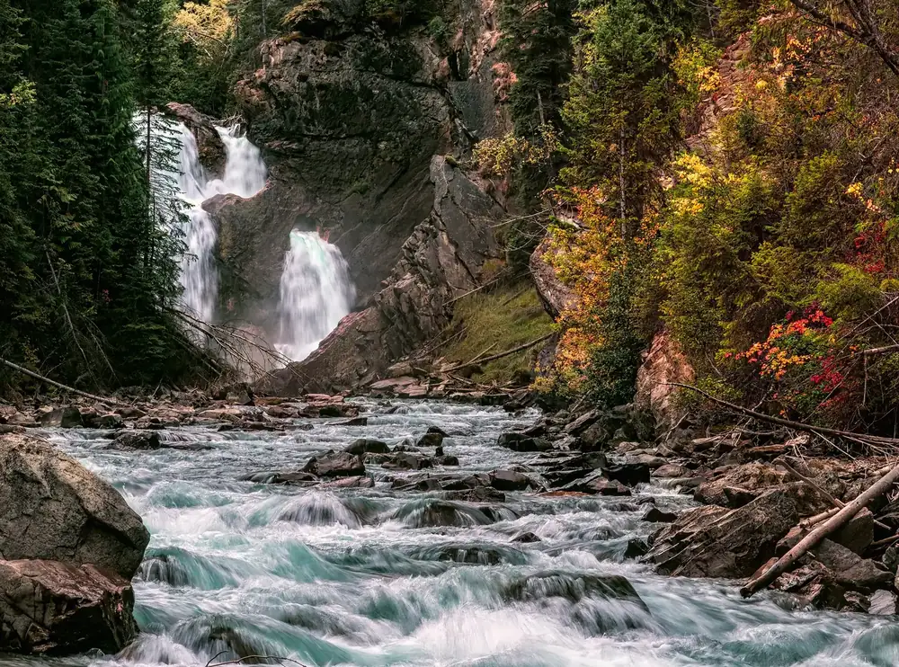 Bear Creek Falls: zweigeteilter Wasserfall über eine Felsstufe, davor ein wilder Bach mit Treibholz im Herbstwald