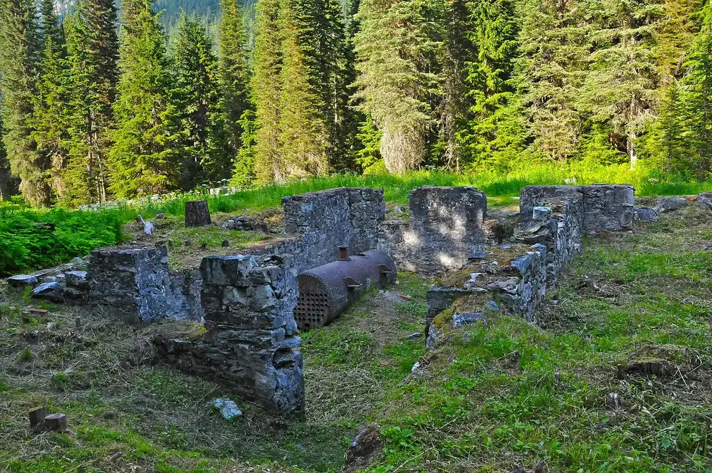 Ruinen des Great Glacier House: Grundmauern aus Naturstein auf einer Waldlichtung