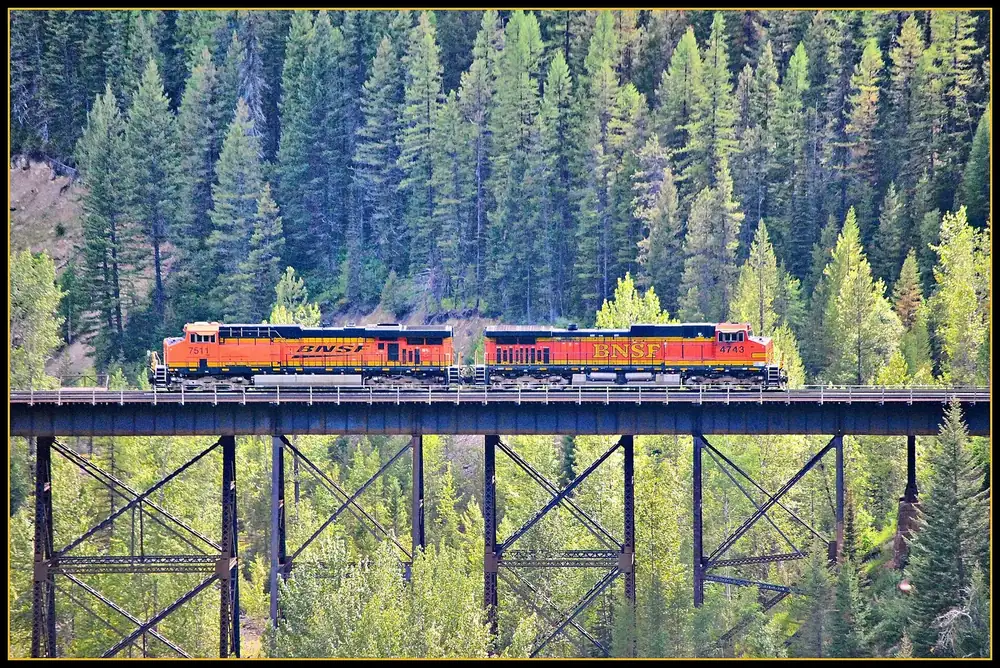 Güterzug auf der Goat Lick Trestle, einer Stahlbrücke über der Schlucht, dahinter dichter Nadelwald