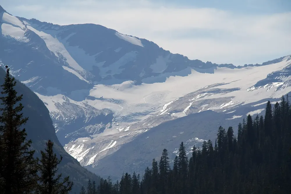Blick vom Jackson Glacier Overlook auf den Jackson-Gletscher in einem Bergkessel, davor dunkler Nadelwald