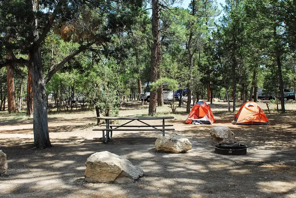 Zeltplatz im Mather Campground: Picknicktisch, Feuerstelle und zwei Zelte zwischen hohen Kiefern