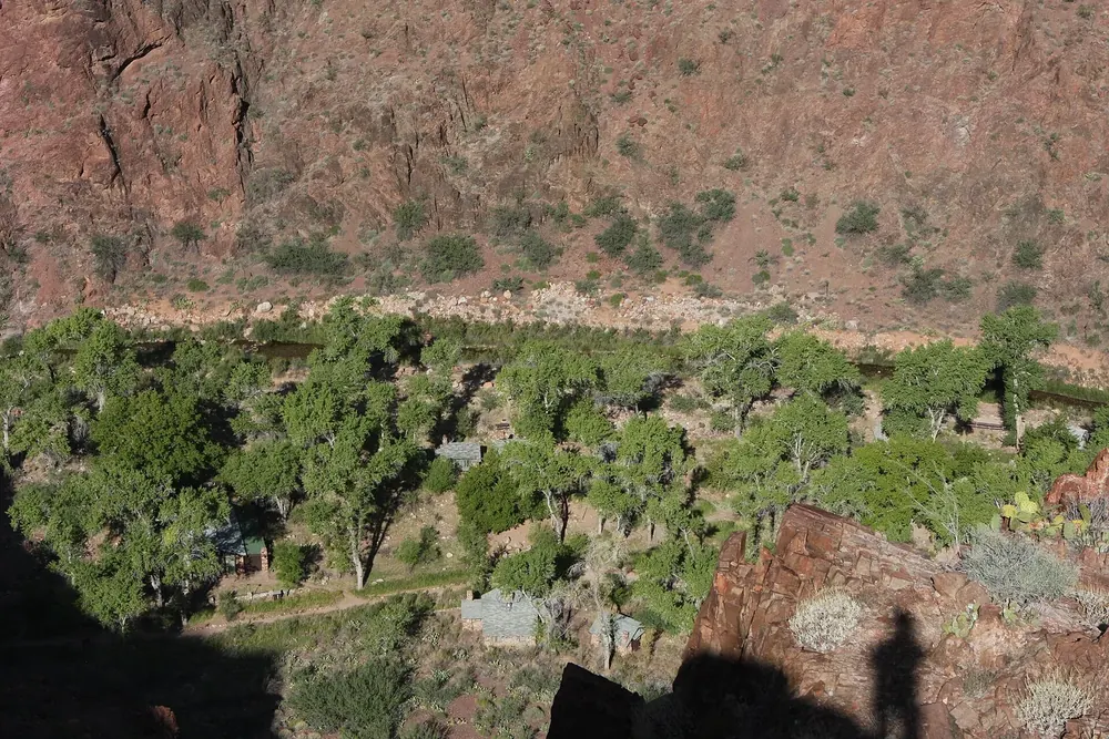Blick hinab auf die grüne Oase der Phantom Ranch mit Pappeln am Canyonboden zwischen roten Felswänden