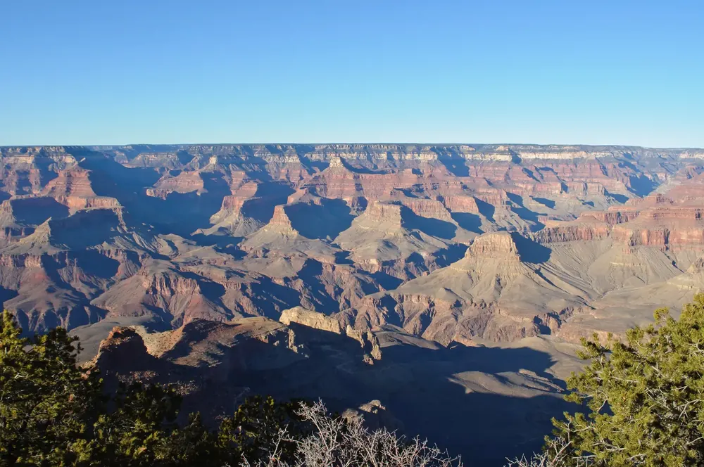 Blick vom Yaki Point über Tafelberge, Felsstufen und verzweigte Schluchten des Grand Canyon, vorn Kiefern