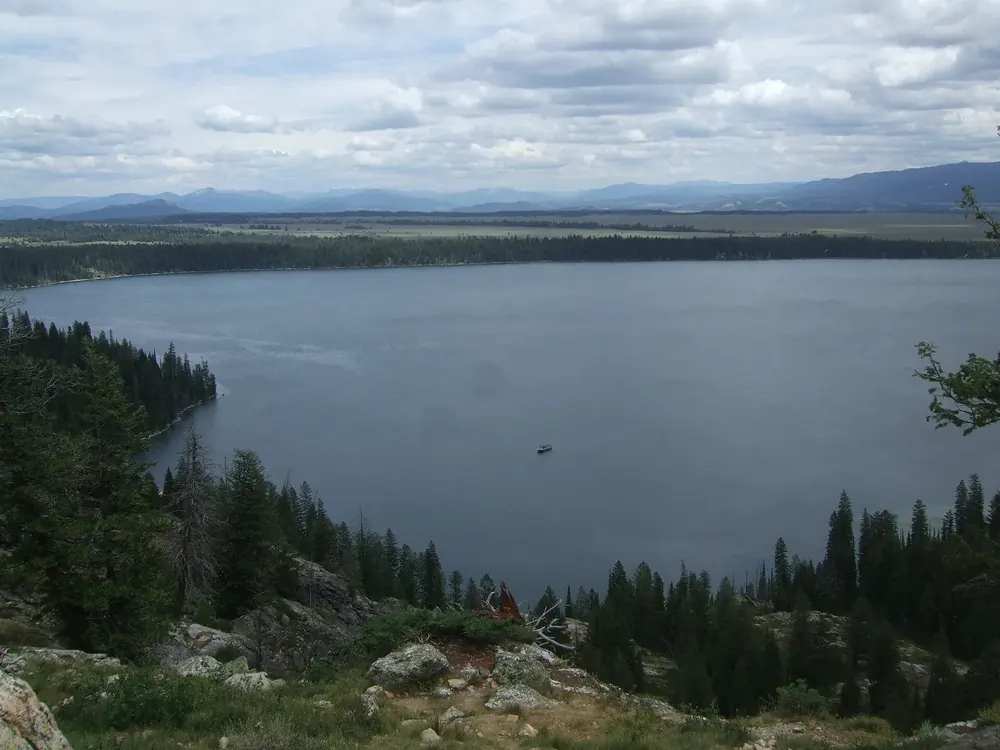 Blick von oben über den weiten Jenny Lake, am Ufer Nadelwald, dahinter die flache Ebene von Jackson Hole